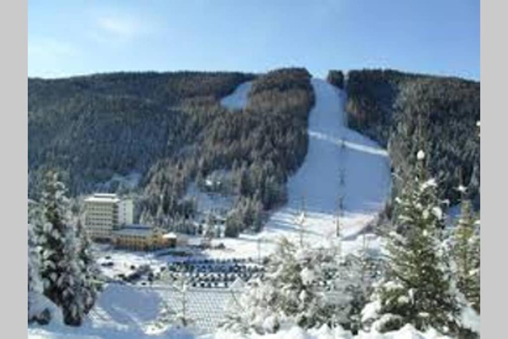 Alloggio Vacanze In Montagna Per Coppia Folgaria Exteriér fotografie